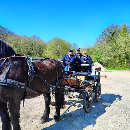 Eco-Gite La Chambre Du Vanneur Mentheville Εξωτερικό φωτογραφία